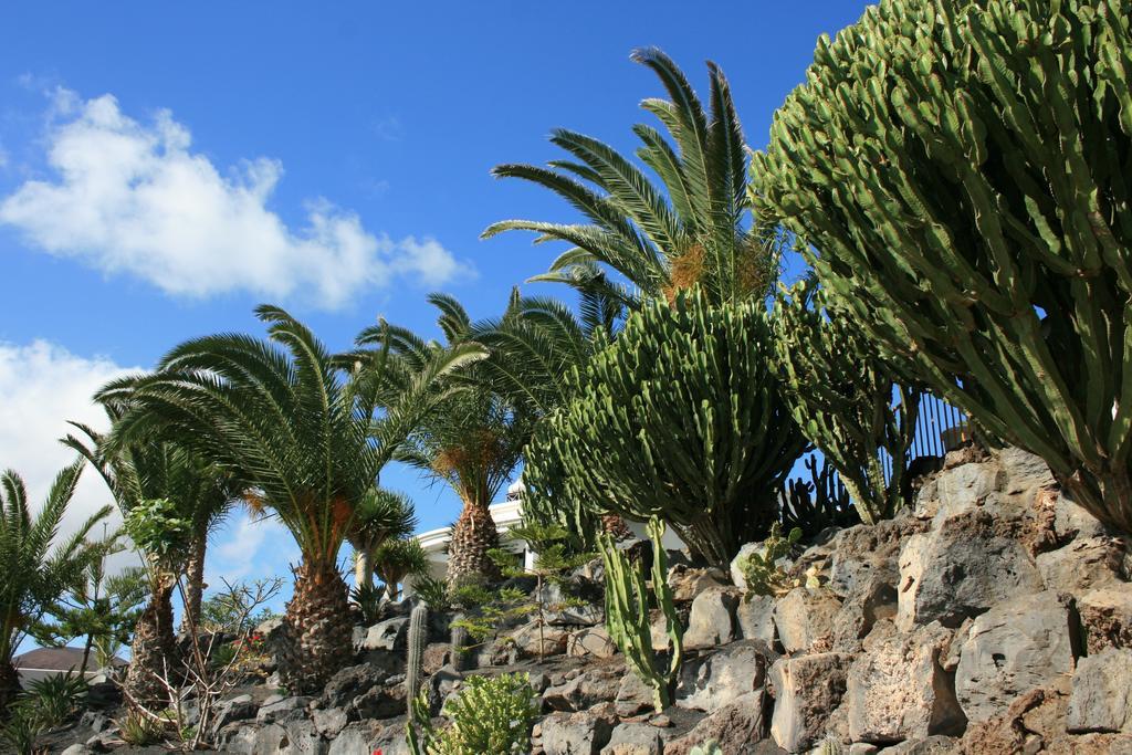 Casa Ronda Villa Charco del Palo Dış mekan fotoğraf