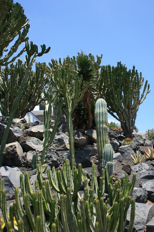 Casa Ronda Villa Charco del Palo Dış mekan fotoğraf